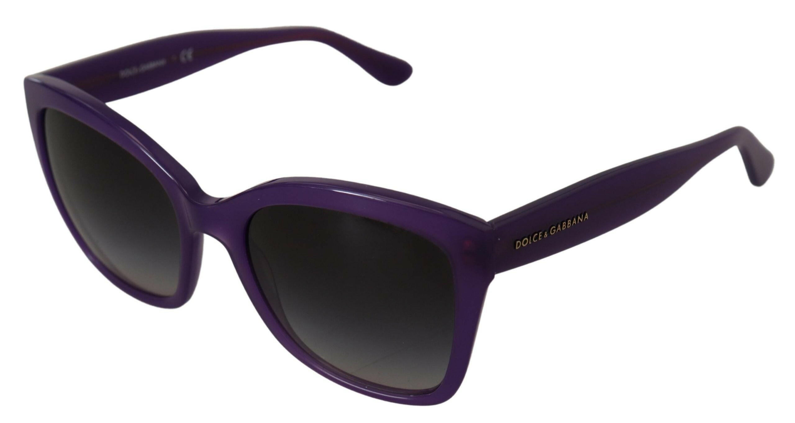Dolce & Gabbana Purple Acetate Square Full Rim DG4240 Sunglasses.