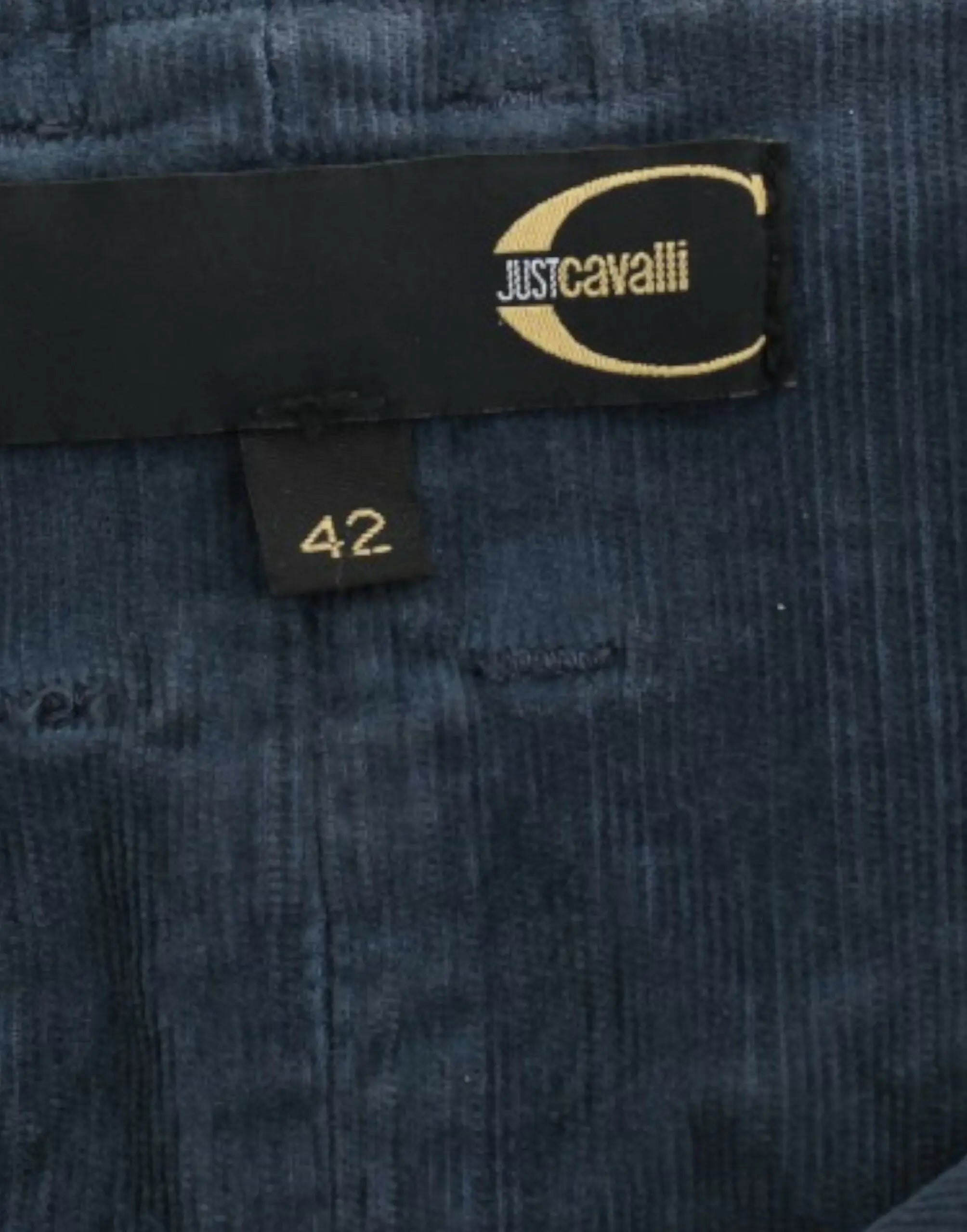 Cavalli Elegant Blue Pencil Skirt - MaraFormigone