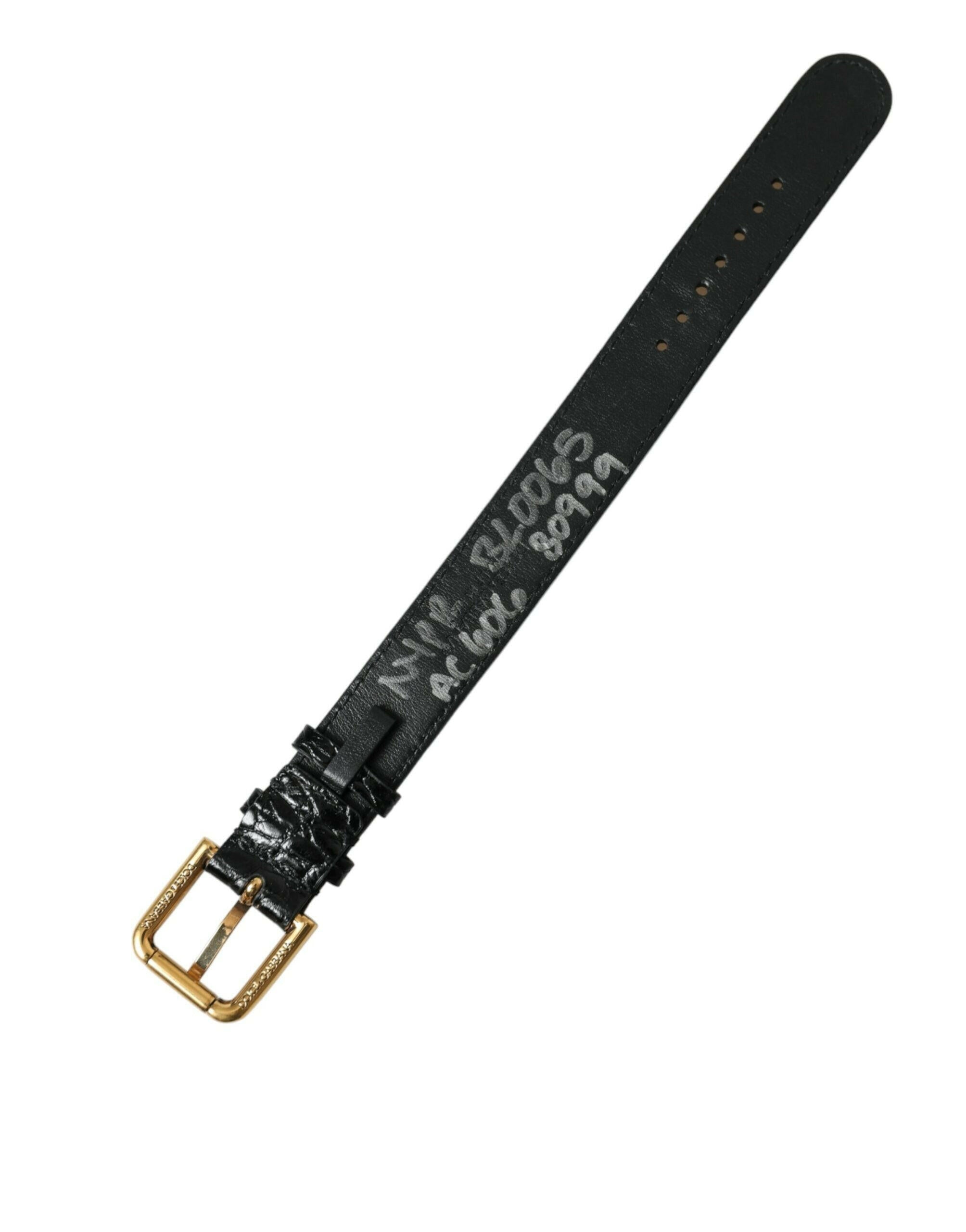 Dolce & Gabbana Black Textured Leather Gold Tone Metal Buckle Armband.