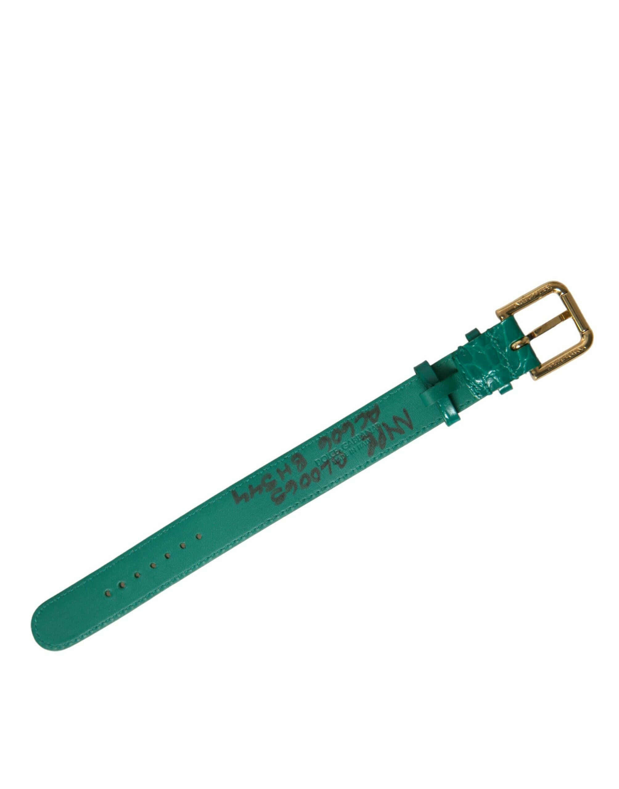 Dolce & Gabbana Green Textured Leather Gold Tone Metal Buckle Neckband.