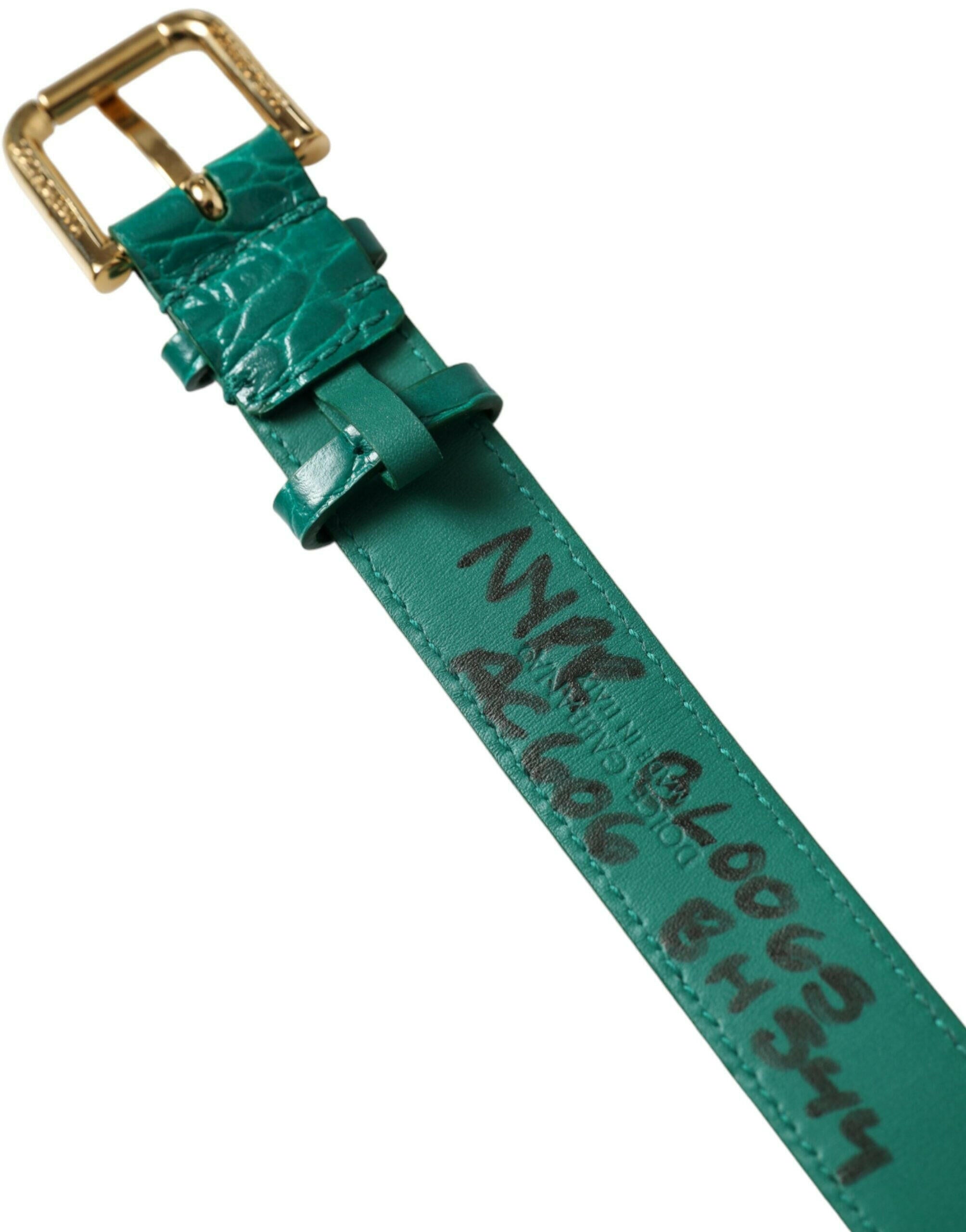 Dolce & Gabbana Green Textured Leather Gold Tone Metal Buckle Neckband.