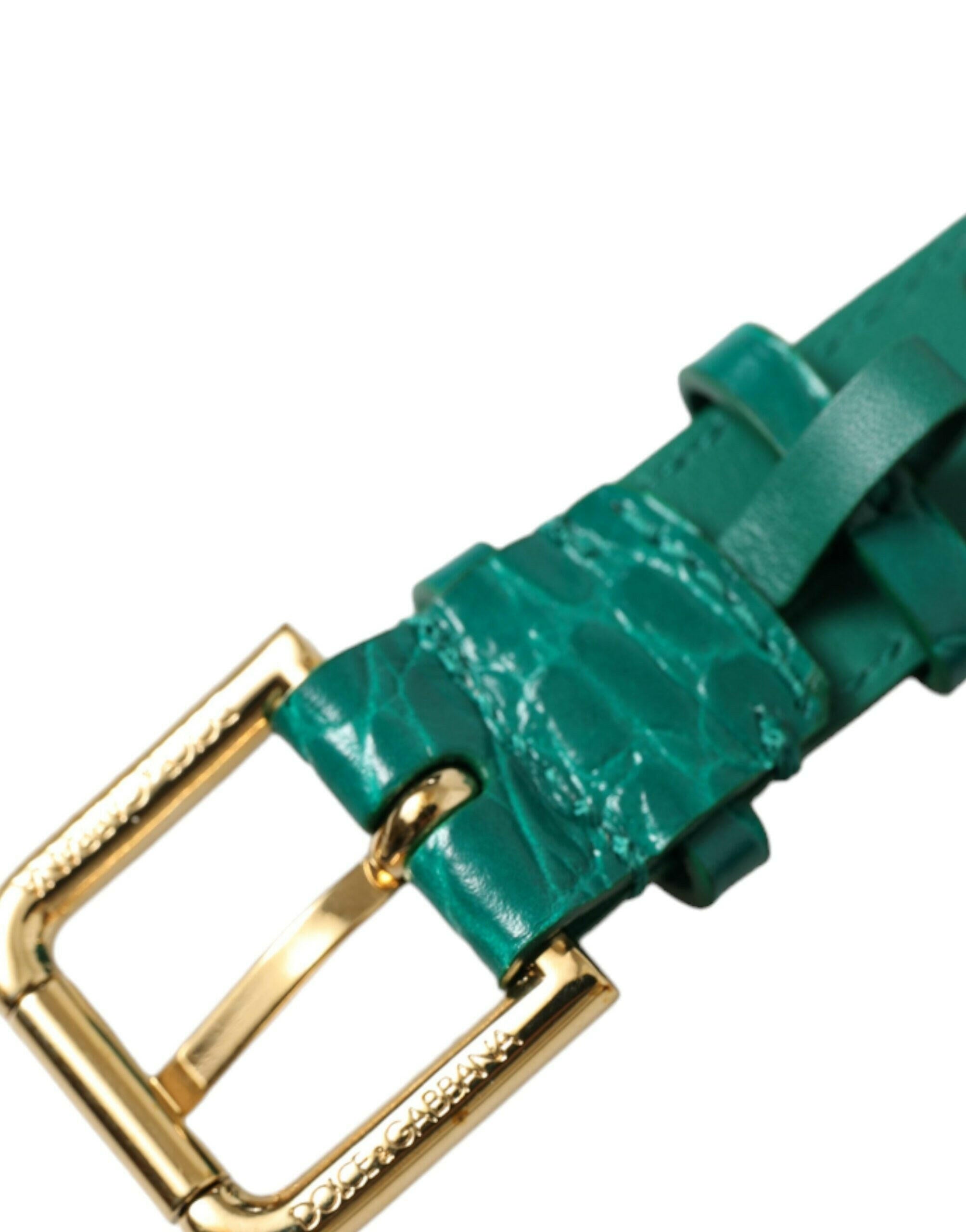 Dolce & Gabbana Green Textured Leather Gold Tone Metal Buckle Neckband.