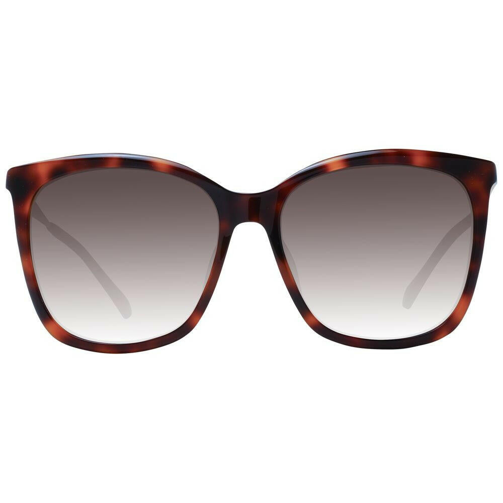 Jimmy Choo Brown Women Sunglasses.